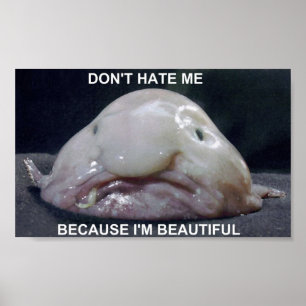 Blåfisk1 Poster