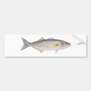 Blåfisk Bildekal