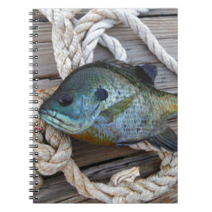 Blåfisk på kaj och rep anteckningsbok