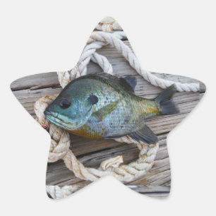 Blåfisk på kaj och rep stjärnformat klistermärke