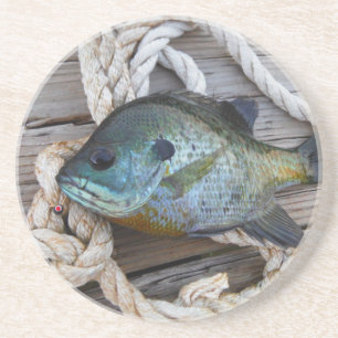 Blåfisk på kaj och rep underlägg sandsten
