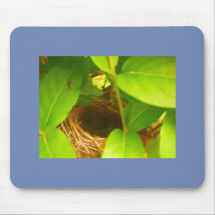 Blåfiskad Hummingbird Nest Musmatta