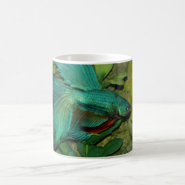 Blåfiskakvarium Mugg (Center)