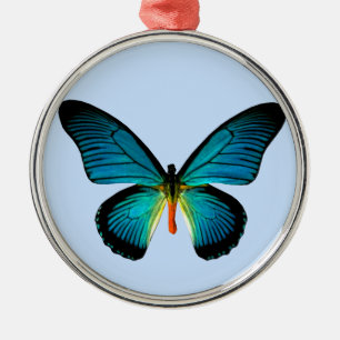 Blåfjärilsområdets ornament