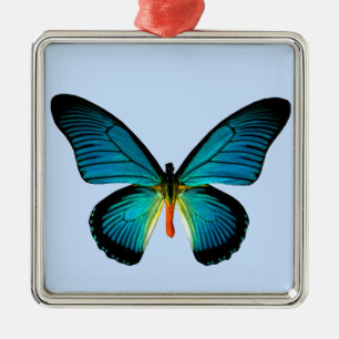 Blåfjärilstorget Ornament