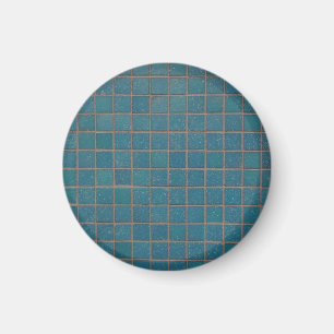 Blåfläckar Magnet