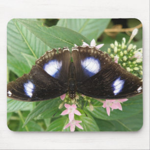 Blåfläckig fjäril Mousepad Musmatta