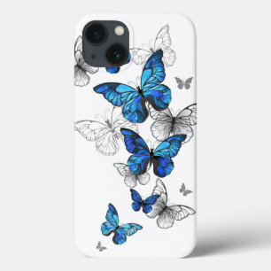 Blåflygande fjärilar Morpho
