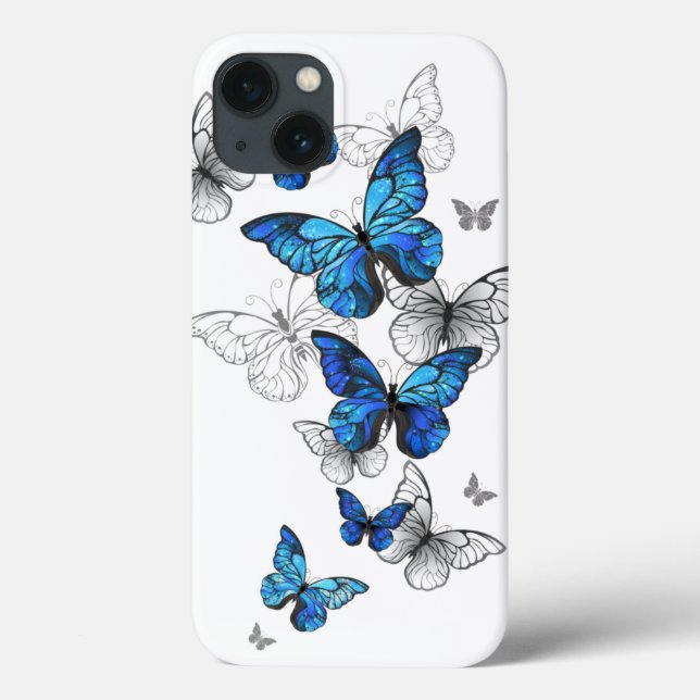 Blåflygande fjärilar Morpho (Baksida)