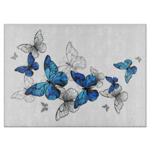 Blåflygande fjärilar Morpho