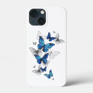 Blåflygande fjärilar Morpho
