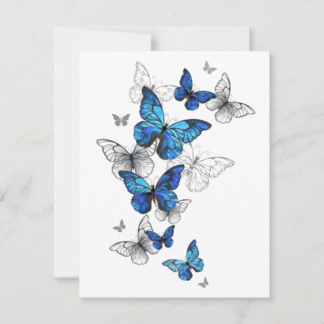 Blåflygande fjärilar Morpho (Framsida)