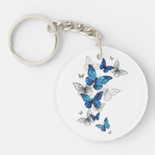 Blåflygande fjärilar Morpho