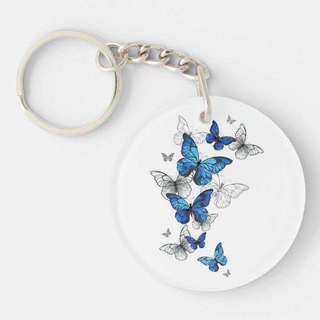 Blåflygande fjärilar Morpho (Framsidan)