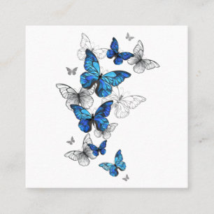 Blåflygande fjärilar Morpho