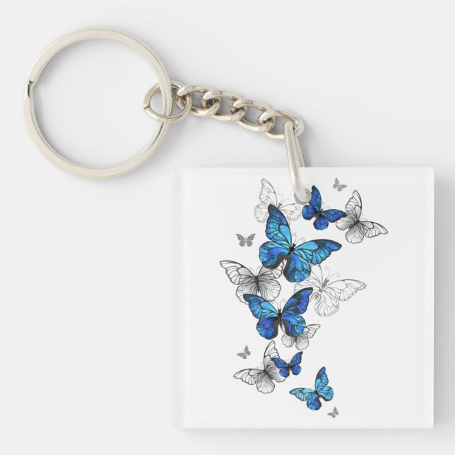 Blåflygande fjärilar Morpho (Framsidan)