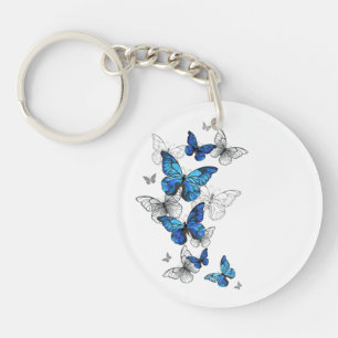 Blåflygande fjärilar Morpho