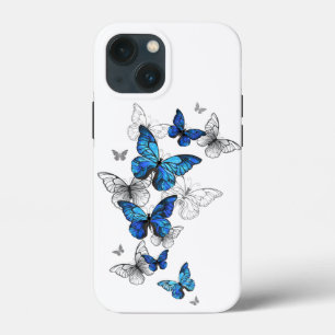 Blåflygande fjärilar Morpho