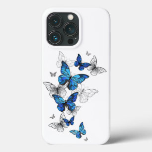 Blåflygande fjärilar Morpho