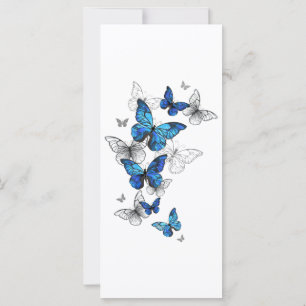 Blåflygande fjärilar Morpho