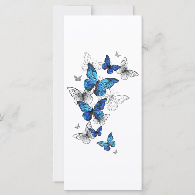 Blåflygande fjärilar Morpho (Framsida)