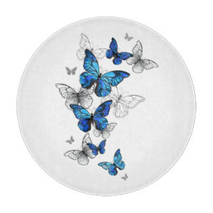 Blåflygande fjärilar Morpho