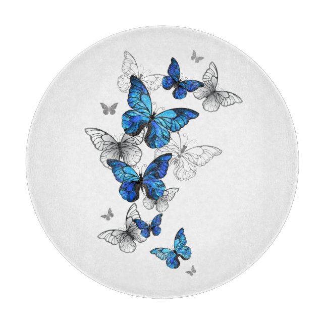 Blåflygande fjärilar Morpho (Framsidan)