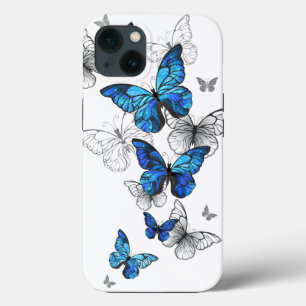Blåflygande fjärilar Morpho