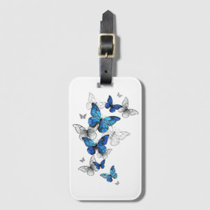 Blåflygande fjärilar Morpho Bagagebricka