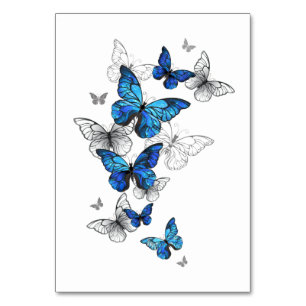 Blåflygande fjärilar Morpho Bordsnummer