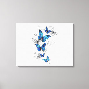 Blåflygande fjärilar Morpho Canvastryck