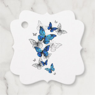 Blåflygande fjärilar Morpho Gåvor Etiketter
