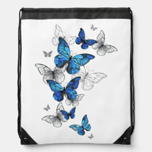 Blåflygande fjärilar Morpho Gympapåse