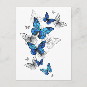 Blåflygande fjärilar Morpho Helg Vykort