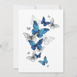 Blåflygande fjärilar Morpho Inbjudningar