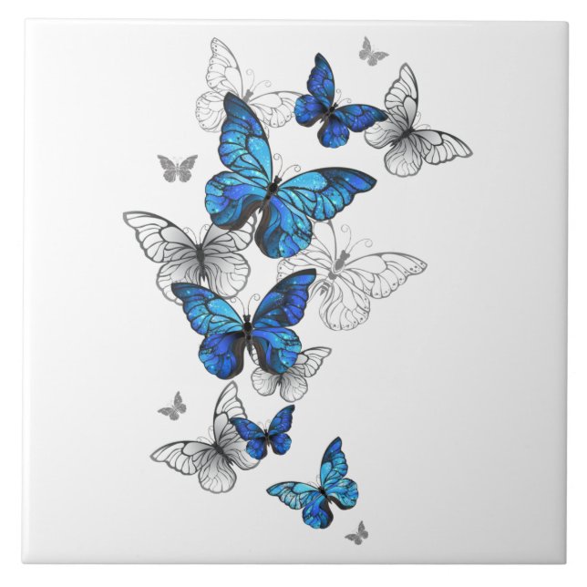 Blåflygande fjärilar Morpho Kakelplatta (Framsidan)