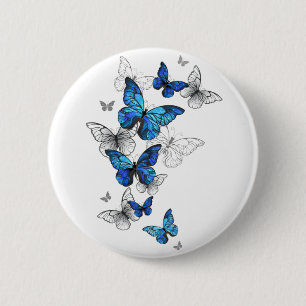 Blåflygande fjärilar Morpho Knapp