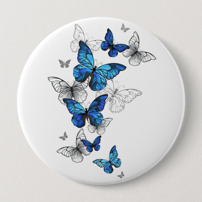 Blåflygande fjärilar Morpho Knapp (Framsida)