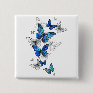 Blåflygande fjärilar Morpho Knapp