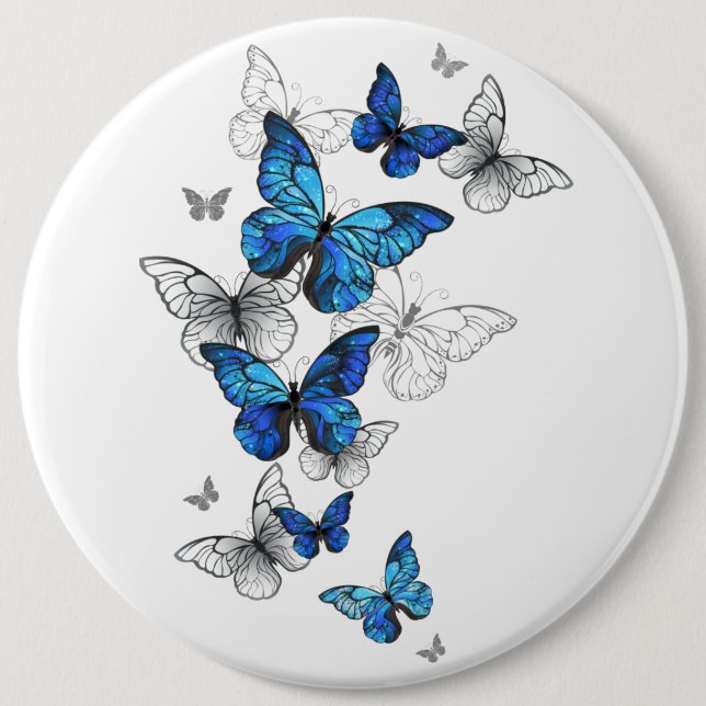 Blåflygande fjärilar Morpho Knapp (Framsida)