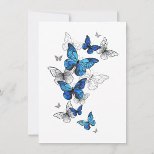 Blåflygande fjärilar Morpho Kort