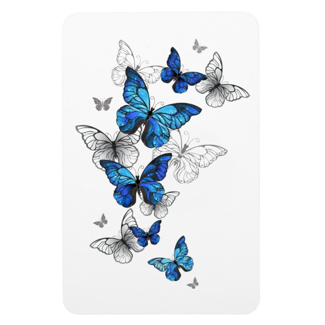 Blåflygande fjärilar Morpho Magnet (Vertikal)