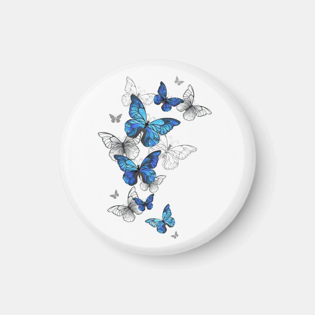 Blåflygande fjärilar Morpho Magnet (Framsidan)