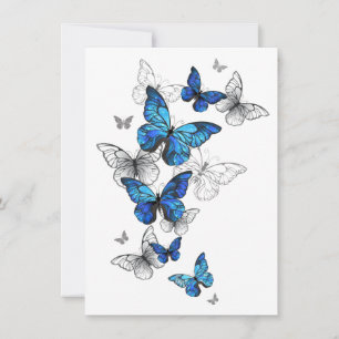 Blåflygande fjärilar Morpho Meddelande