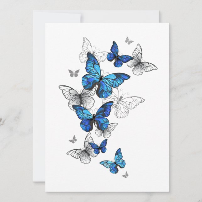 Blåflygande fjärilar Morpho Meddelande (Framsida)