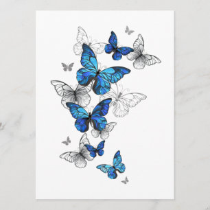 Blåflygande fjärilar Morpho Meny