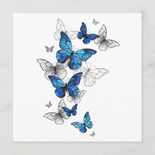 Blåflygande fjärilar Morpho Meny
