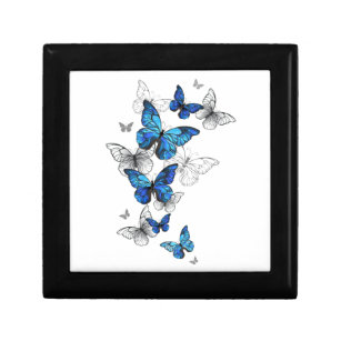 Blåflygande fjärilar Morpho Minnesask