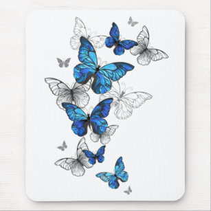 Blåflygande fjärilar Morpho Musmatta
