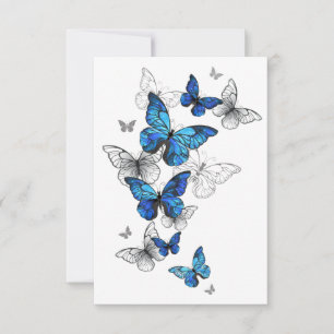 Blåflygande fjärilar Morpho OSA Kort